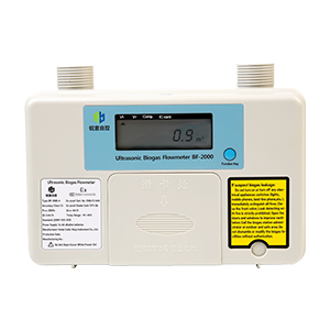 Residential Gas Meter BF-2000
